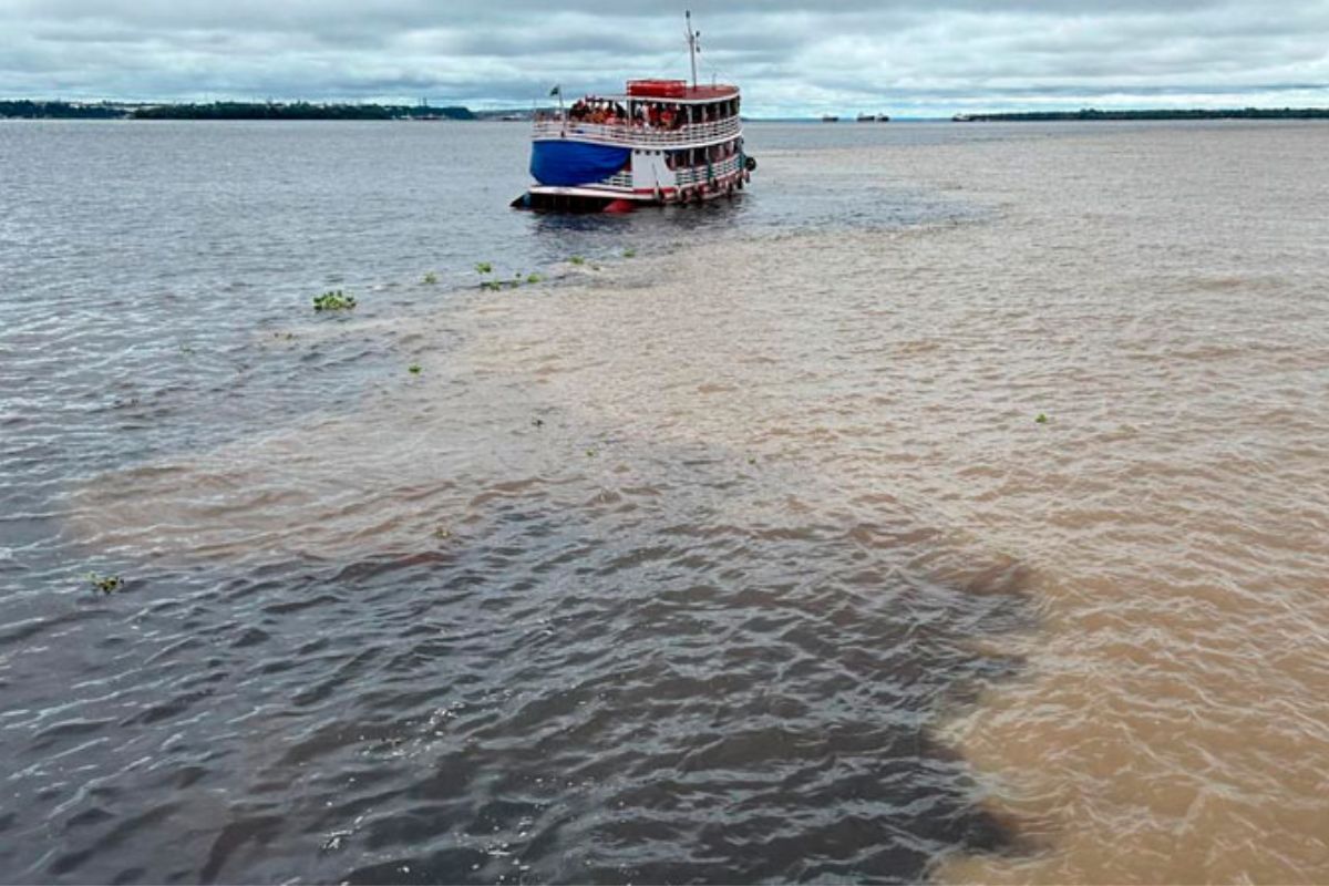 Os rios amazônicos voltaram a apresentar níveis próximos da normalidade depois de dois anos marcados por secas severas que impactaram comunidades, transporte fluvial e ecossistemas inteiros
