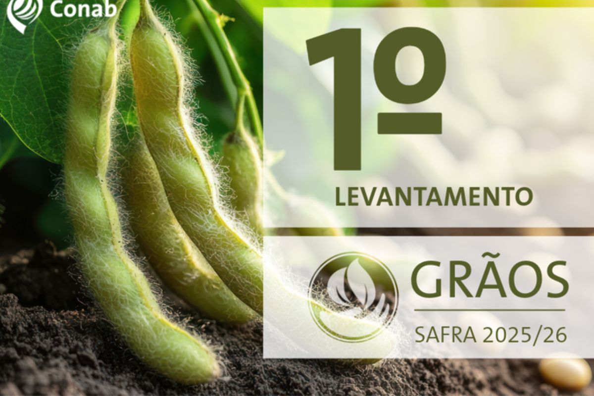 A safra 2025/2026 começa com projeções otimistas para o agronegócio brasileiro, segundo o primeiro levantamento da Companhia Nacional de Abastecimento (Conab)