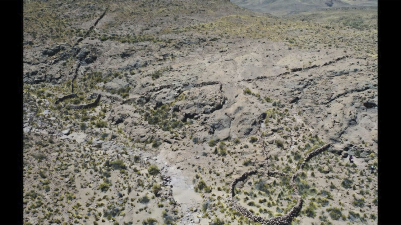 satélite revela 76 armadilhas gigantes de 6 mil anos e revelam caçadas a vicunhas vivas