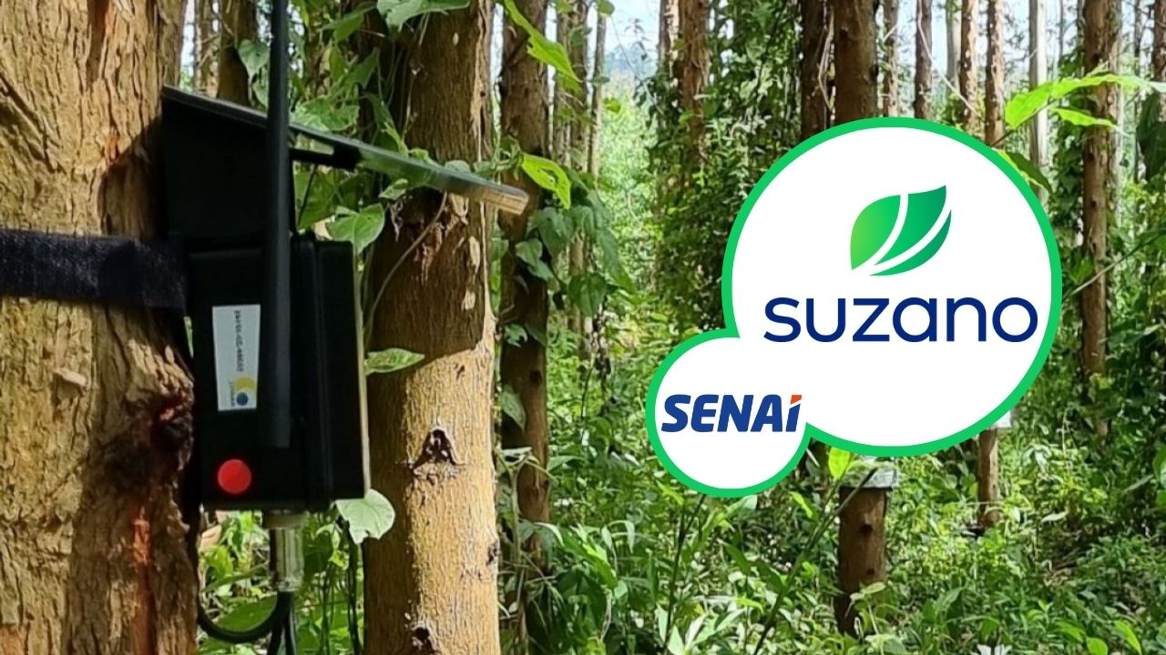 IoTree, tecnologia brasileira da Suzano, permite monitoramento remoto de água e crescimento de florestas com sensores inteligentes, reduzindo custos, otimizando recursos e apoiando manejo sustentável.