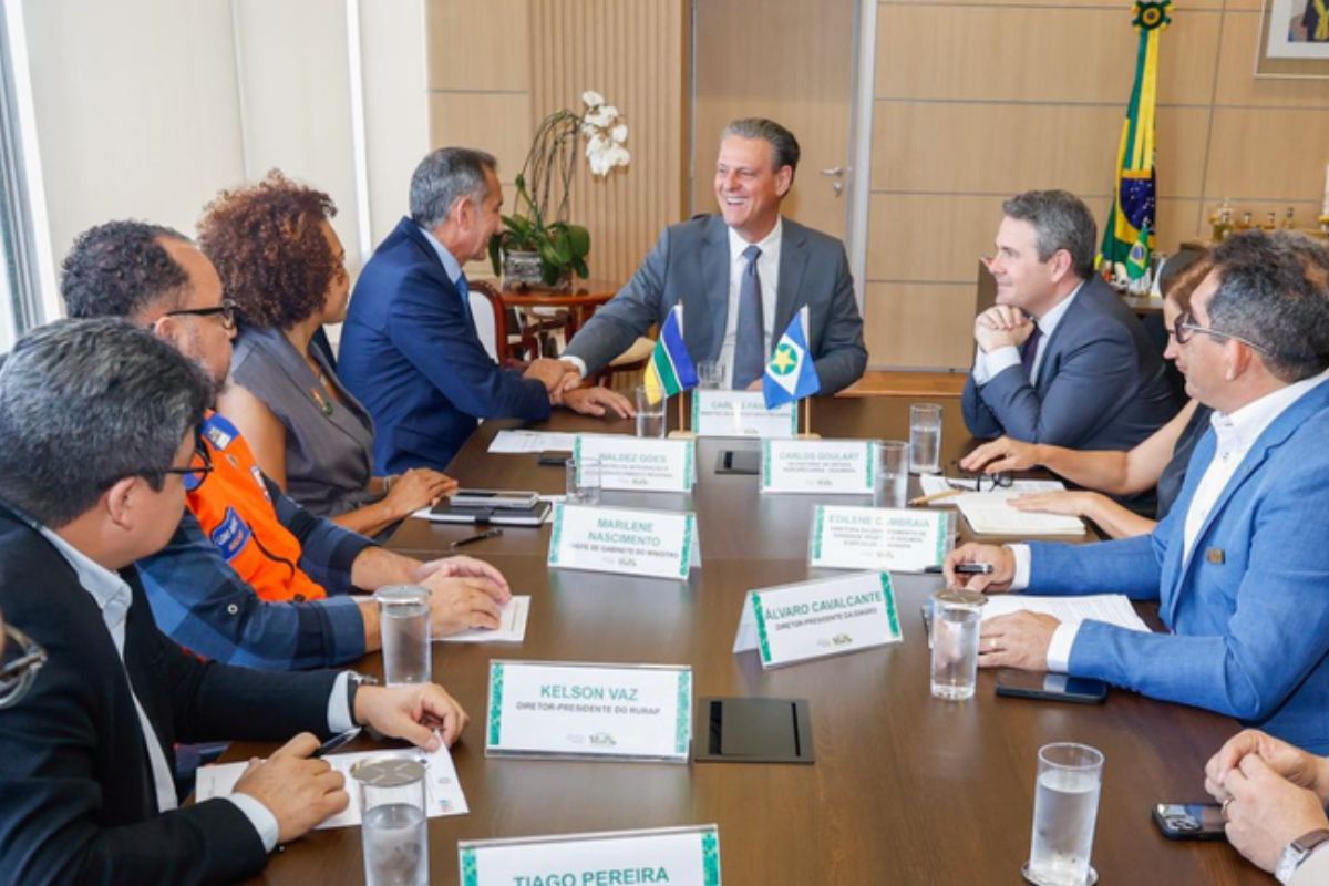 O Ministério da Agricultura e Pecuária (Mapa) e o Ministério da Integração e do Desenvolvimento Regional (MDR) anunciaram ações conjuntas para conter o avanço da vassoura-de-bruxa da mandioca causada pelo fungo Ceratobasidium theobromae