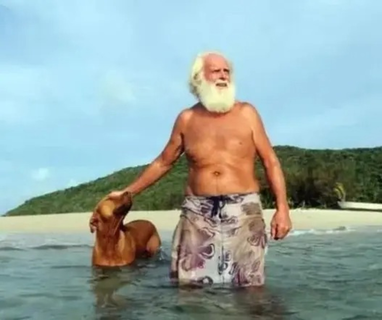 Ilha deserta, Ilha, Homem, Animais, Árvores
