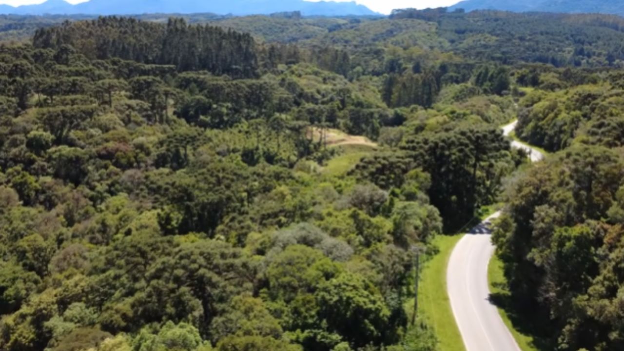 Descubre la travesía más exuberante de Paraná por la Estrada da Graciosa, mata atlántica preservada y los centros históricos de Morretes y Antonina.