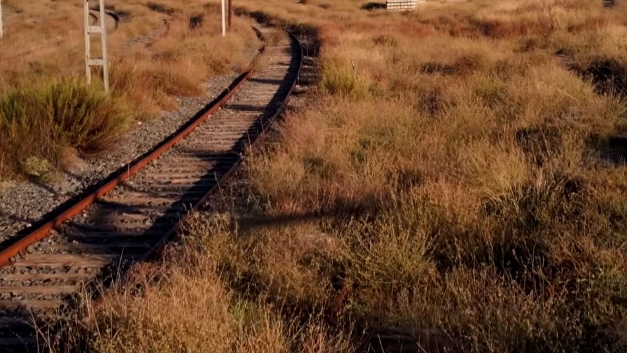 Entienda cómo Brasil y EUA tomaron decisiones en ferrocarriles, malla ferroviaria, transporte ferroviario y logística que cambiaron el desarrollo de los dos países.