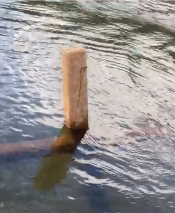 Cementerio, Goiás, Cementerio sumergido