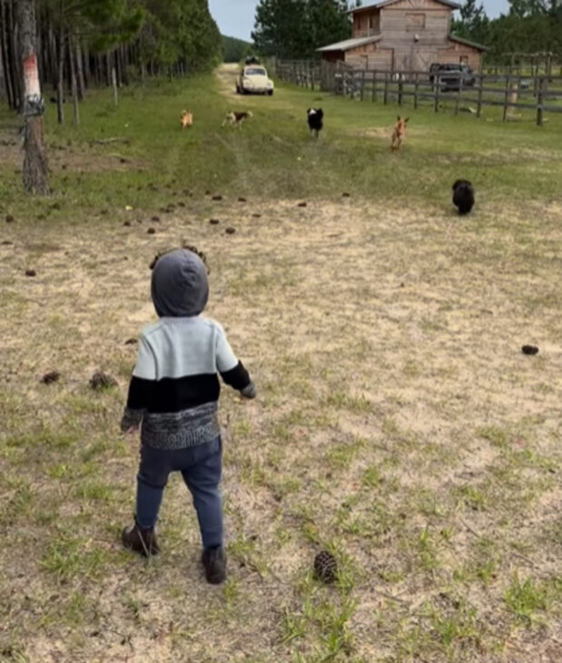 Avô, Neto, presento, Fusca