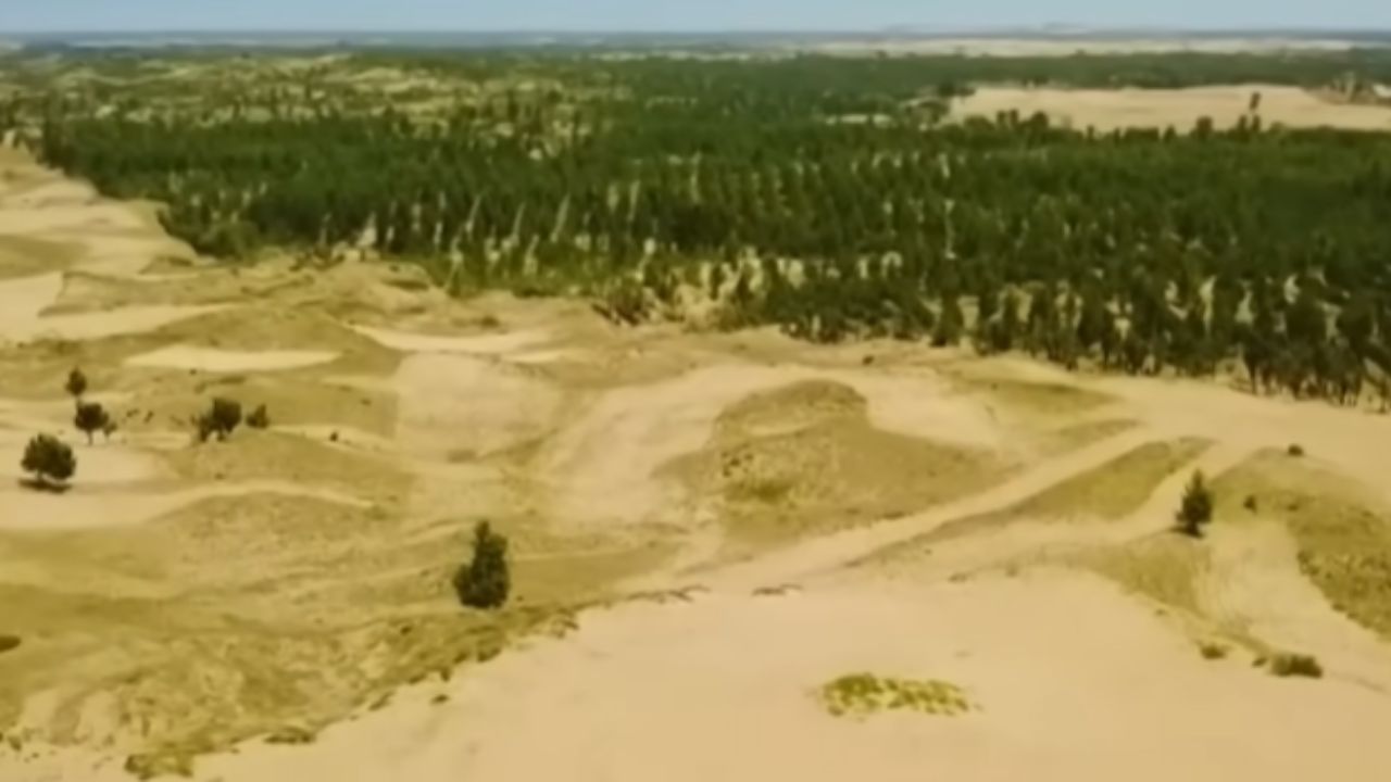Al Combinar Energía Limpia, Muro Verde y Granja Solar a Gran Escala, China Transforma el Desierto de Taklamakan en un Laboratorio Vivo Contra la Desertificación.