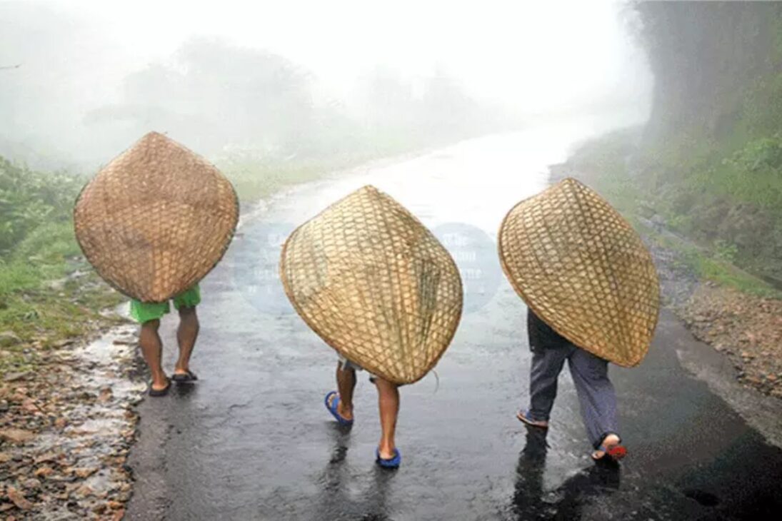 En La Ciudad Más Húmeda Del Planeta, La Lluvia Moldea Puentes Vivos, Envuelve Aldeas En Neblina, Excava Cuevas Milenarias Y Revela Una Rutina Extrema En Plena Región Montañosa De India.