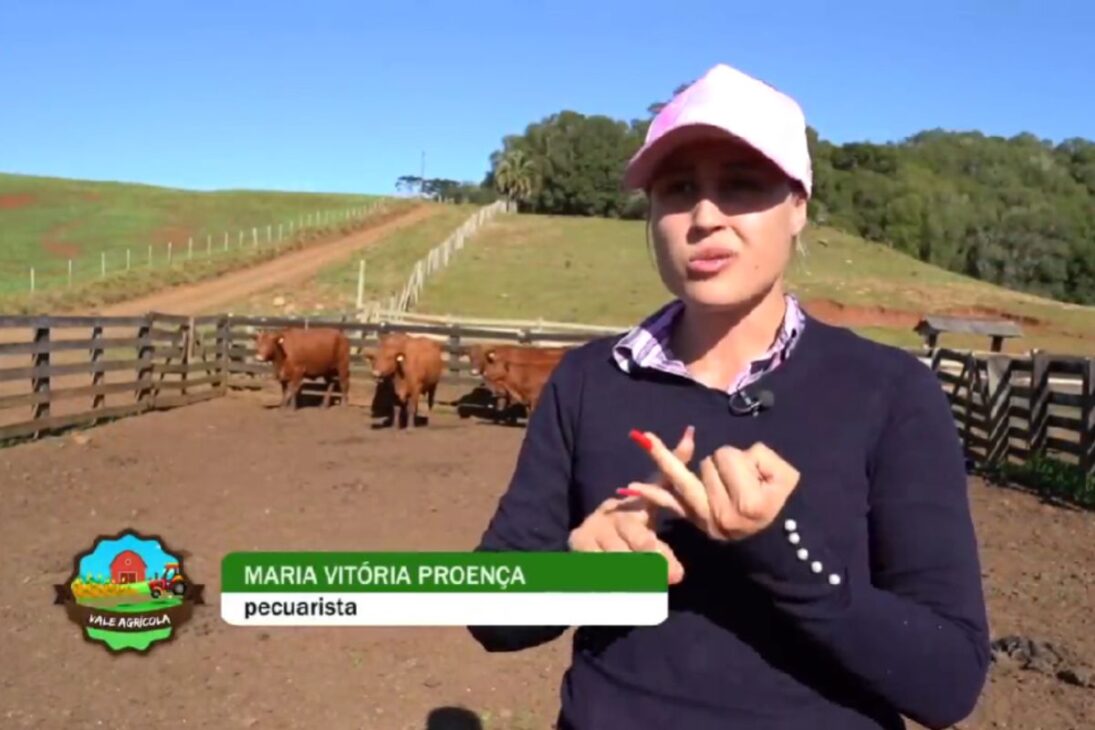 En La Historia De La Niña De La Pecuaria, La Granja En Santa Catarina Se Convierte En Vitrina De Genética Senepol, Gestión Profesional Y Protagonismo Femenino Que Inspira Nuevos Proyectos En El Agro.