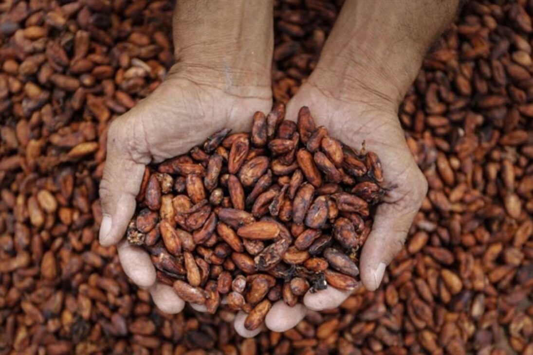 Nutella Combina Avellanas Seleccionadas, Cacao Africano Y Aceite De Palma Refinado En Una Receta Controlada Globalmente, Uniendo Tradición, Tecnología Y Calidad.