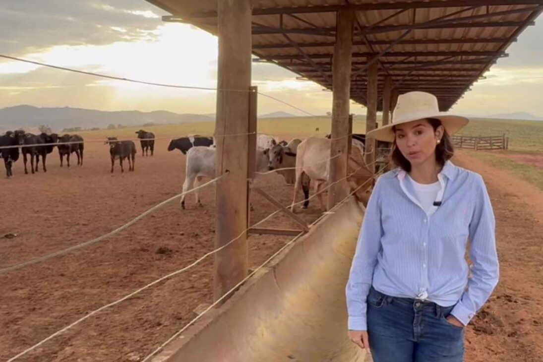 Dentro De La Granja Más Rentable De Brasil, Cada Boi Engorda En Ciclos Eficientes Sobre Suelo Bien Cuidado, Con Gestión Rigurosa Que Transforman Producción En Lucro Predecible.