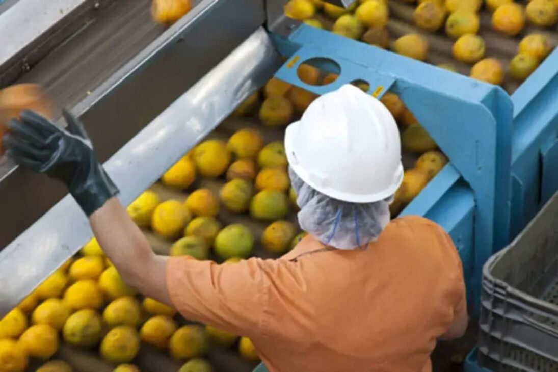 ¿Te imaginabas que el jugo de naranja brasileño pasaba por tanta tecnología y etapas industriales antes de llegar a tu vaso o siempre lo viste como algo simple del día a día?