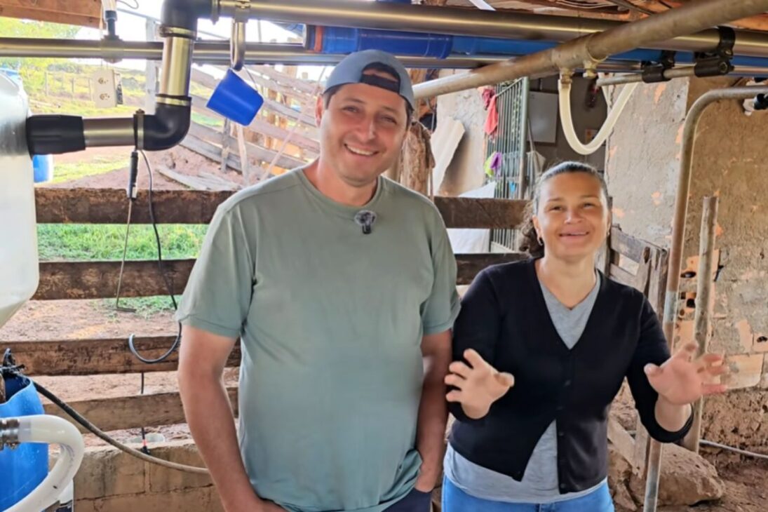En la finca, una historia de superação muestra vida en la finca con ganado lechero y producción de leche en alta después de un golpe financiero pesado.