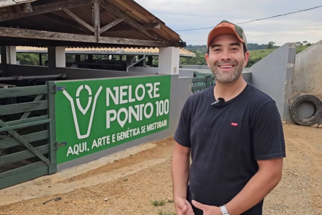 En La Fazenda A Las Márgenes De La BR-265, El Nelore Pintado, El Corral Antiestrés Y 100 Hectáreas De Manejo Y Genética Elevan La Producción Y Valorizan El Campo.