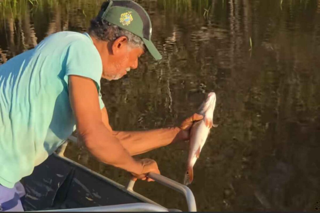 Historia real de un ribereño aislado en la selva amazónica que vive de la agricultura, del agua del pozo y de la cría de gallinas, en una rutina simple, dura y profundamente ligada al bosque.
