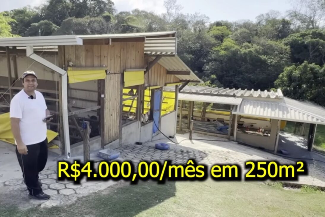 En un sitio pequeño, mil gallinas de corral generan R$ 4.000 por mes con huevos de corral y muestran cómo transformar el sitio en un negocio lucrativo y estable.

