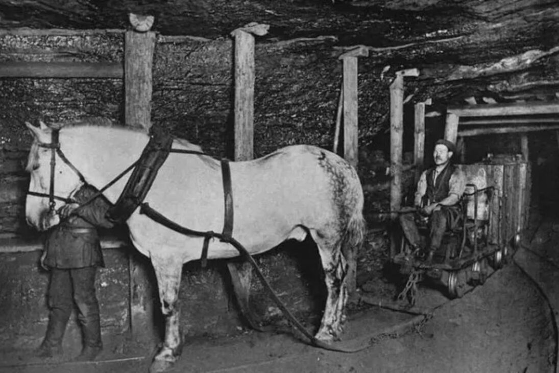 En Los Apalaches, Antiguos Valles Marcados Por Minas De Carbón Conviven Con Drogas Y Pobreza, Mientras Comunidades Luchan Para Sobrevivir Y Preservar Su Identidad.