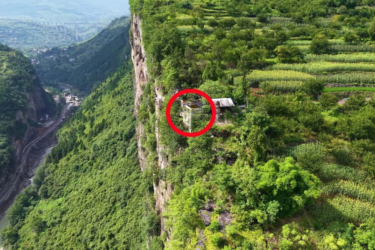 Com queda de 300 metros, a casa no penhasco de Guizhou mistura templo, roça e moradia sobre poucos pilares e levanta dúvidas sobre segurança, fé e coragem.