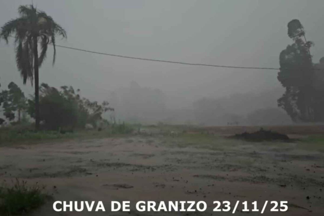 Reportaje muestra productor rural que pierde cosecha y plantación de pimiento en tormenta de granizo y revela cómo la agricultura en Brasil queda vulnerable.