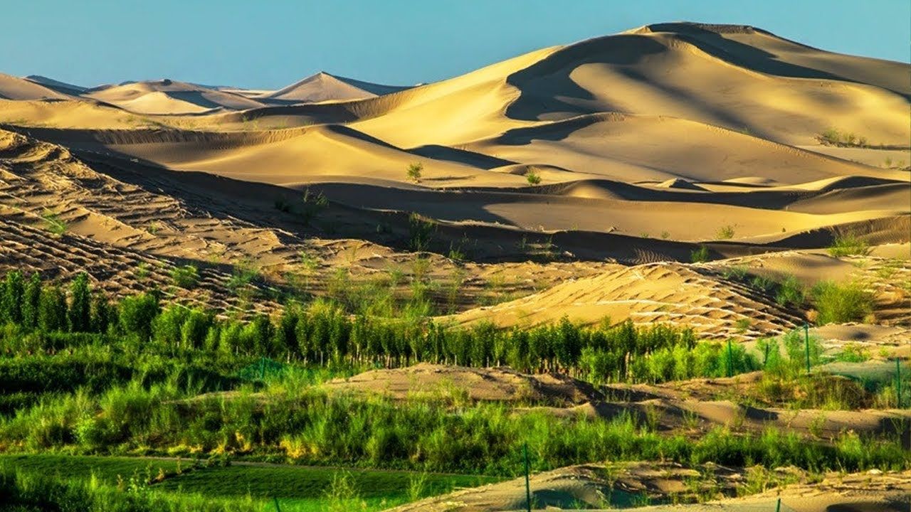 Como a Arábia Saudita transforma o deserto em fazendas gigantes com água fóssil, pivôs colossais, tecnologia avançada e terras compradas no exterior