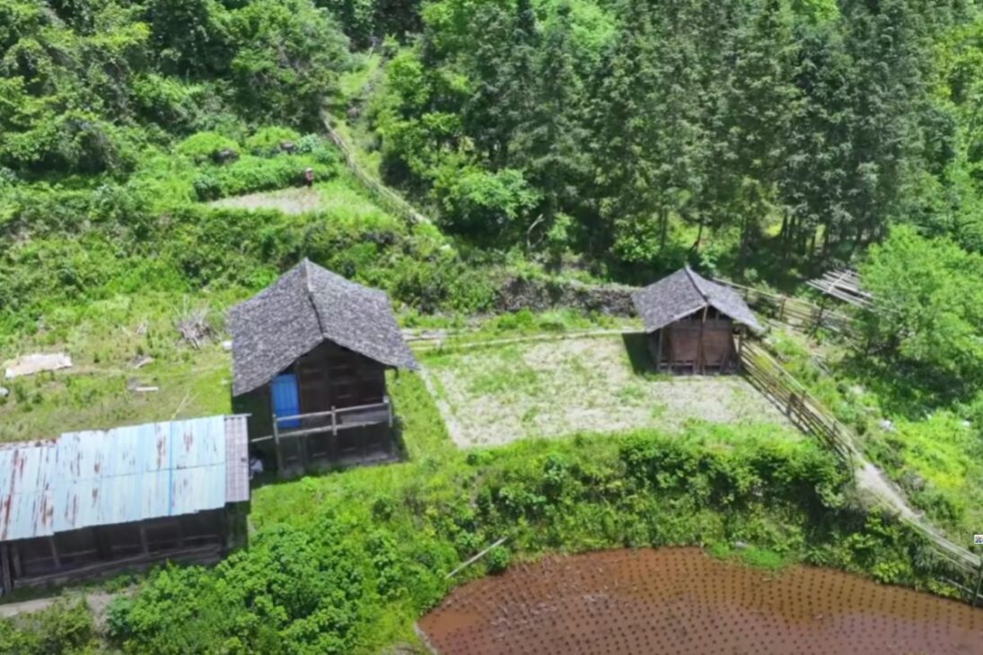 Familia aislada desde hace cuatro generaciones vive sola en el bosque de Guizhou y sobrevive solo con lo que planta en medio de las montañas