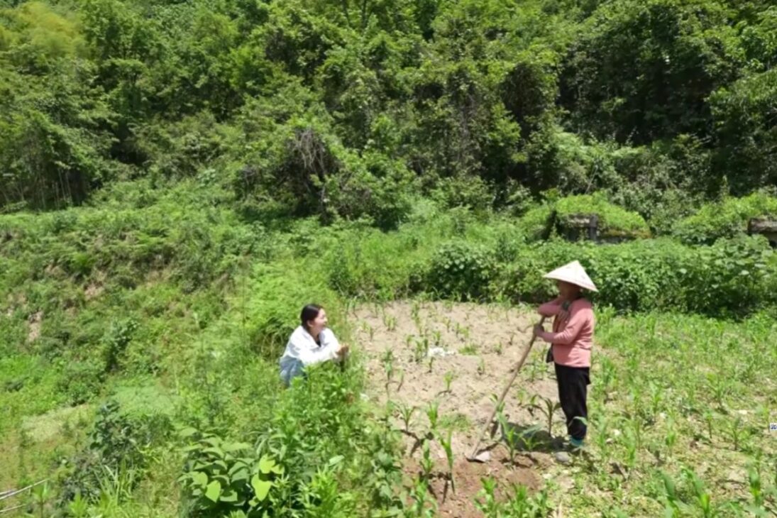 Familia aislada desde hace cuatro generaciones vive sola en el bosque de Guizhou y sobrevive solo con lo que planta en medio de las montañas