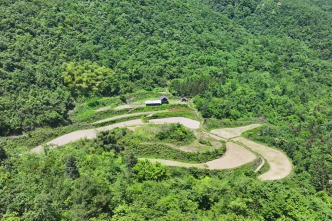 Familia aislada desde hace cuatro generaciones vive sola en el bosque de Guizhou e sobrevive solo con lo que planta en medio de las montañas