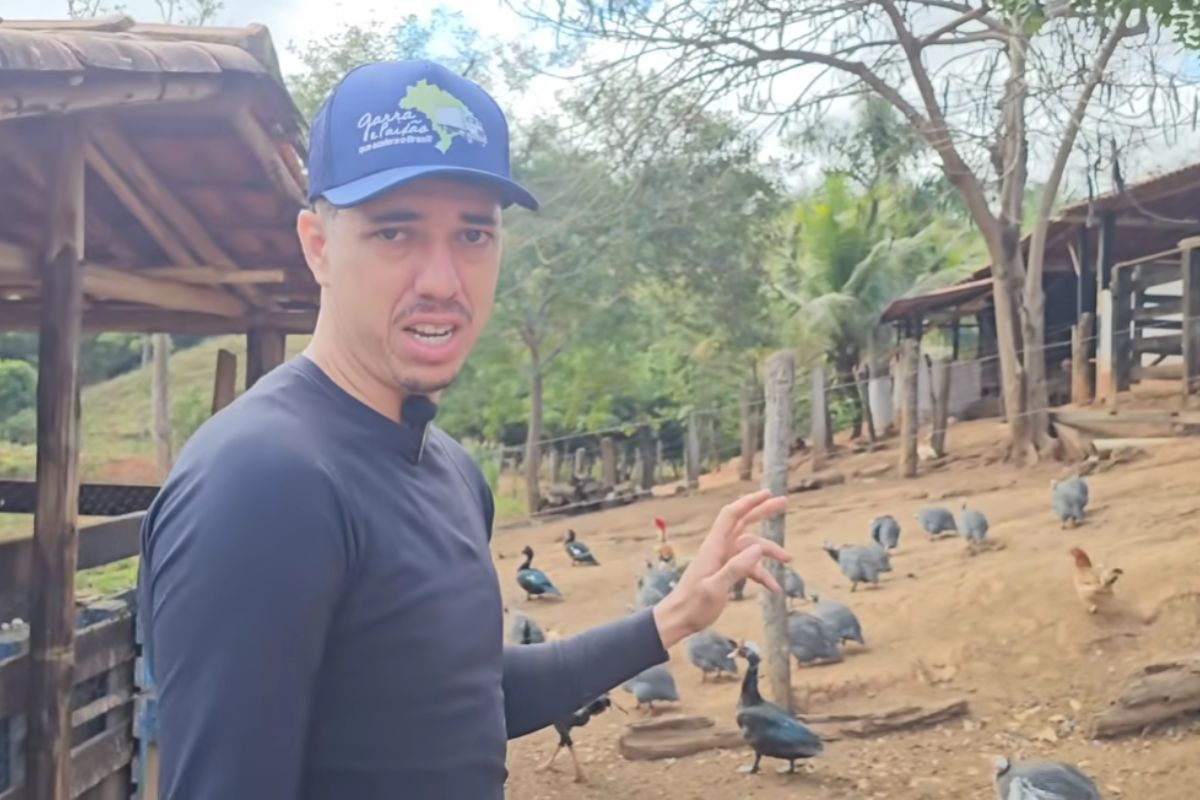 Na roça de Juninho, água, galinha, vaca e tanque mostram como começar do zero e viver do que a pequena fazenda produz.
