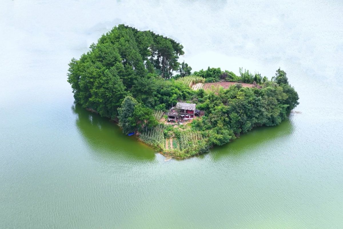 Em uma ilha isolada em meio às montanhas, um agricultor de 62 anos criou um refúgio autossuficiente com porcos, melancias e ervas medicinais e mostra uma vida simples que muita gente só vê na internet.