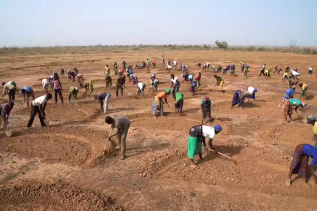 La Gran Muralla Verde de África Utiliza Bosques Alimentarios Para Restaurar Suelo y Retener Agua en El Sahel, Reduciendo El Hambre y Transformando Regiones Áridas en Áreas Productivas.