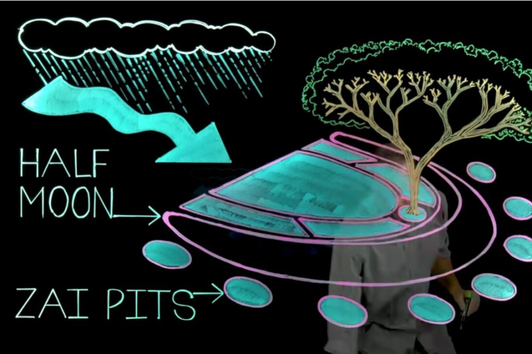 La Gran Muralla Verde de África Utiliza Bosques Alimentarios Para Restaurar Suelo y Retener Agua en El Sahel, Reduciendo El Hambre y Transformando Regiones Áridas en Áreas Productivas.