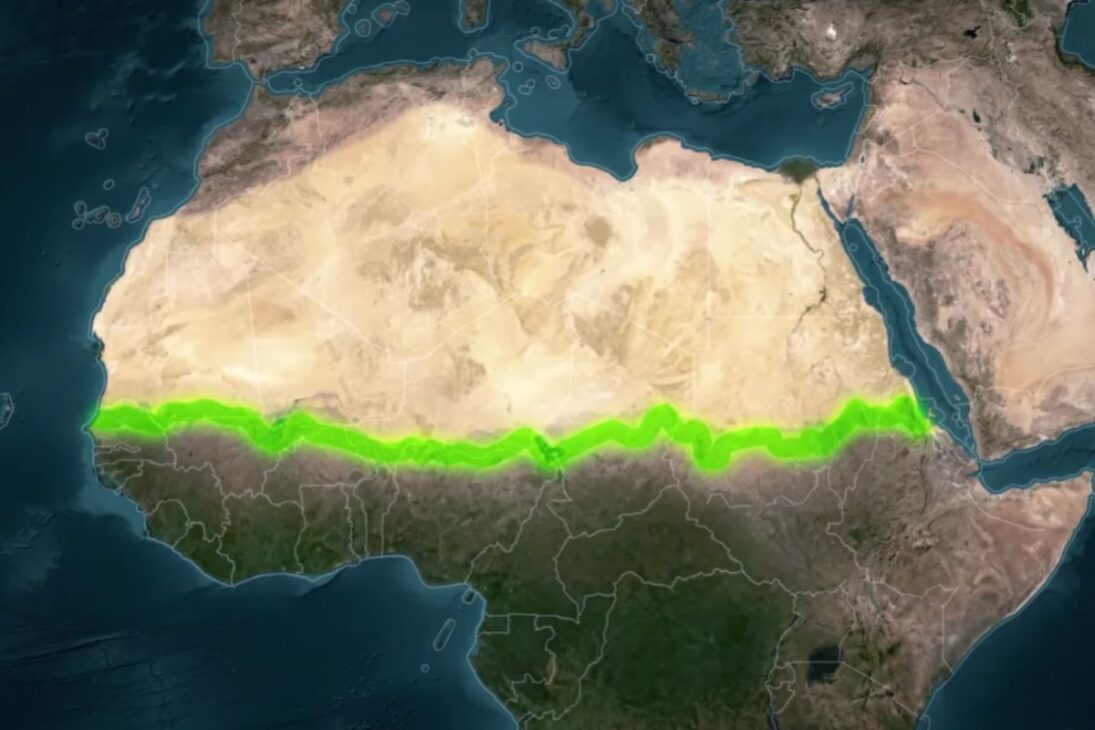 La Gran Muralla Verde de África Utiliza Bosques Alimentarios Para Restaurar Suelo y Retener Agua en El Sahel, Reduciendo El Hambre y Transformando Regiones Áridas en Áreas Productivas.