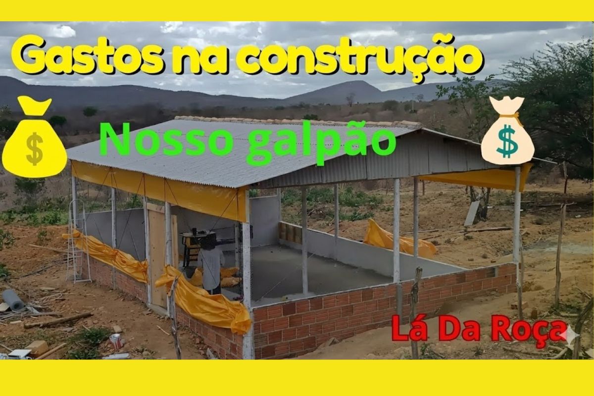 Produtor constrói galpão para 300 poedeiras com mão de obra própria, detalha custo de materiais e mostra como economizou mais de R$ 3.000 em serviços.