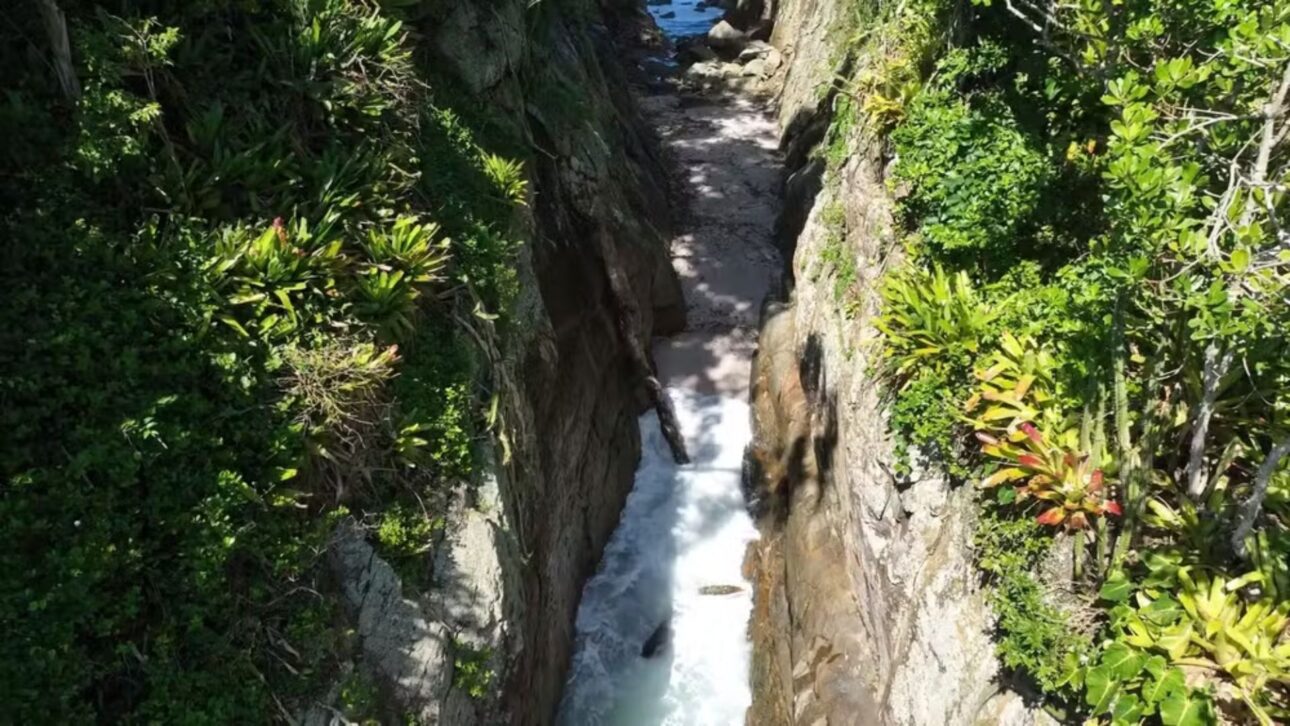 Isla de Selinha, en Ubatuba (SP), busca reconocimiento del Guinness como la playa más pequeña del mundo y destaca su preservación ambiental. Foto: Bruno Amir