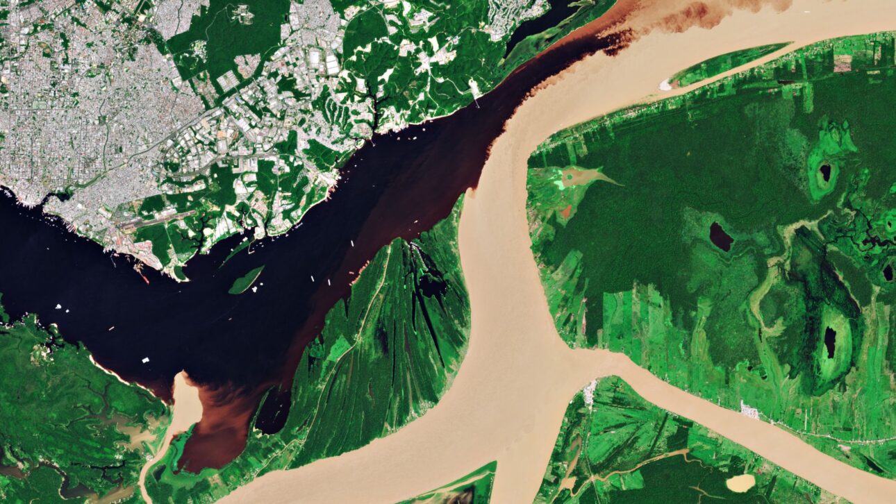 El río Amazonas alcanza 6.992 km de extensión, supera al Nilo y se convierte, según estudio, en el más largo del mundo, con volumen y ancho extraordinarios.
