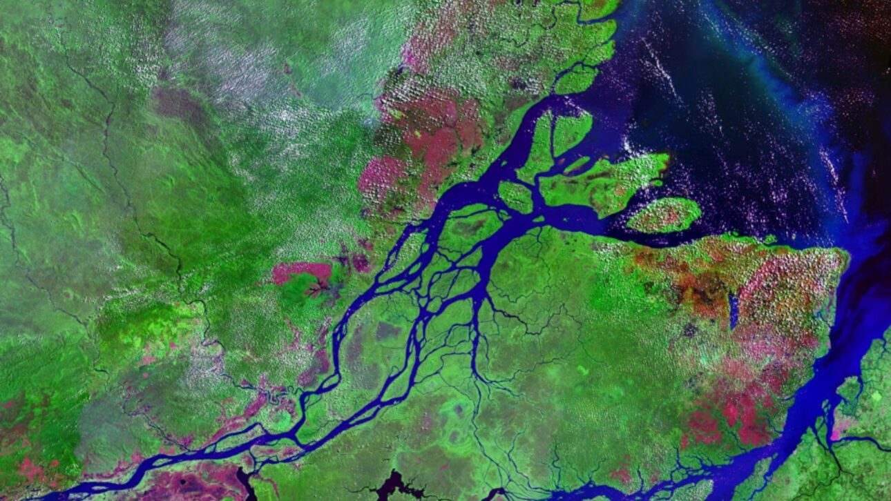 El río Amazonas alcanza 6.992 km de extensión, supera al Nilo y se convierte, según estudio, en el más largo del mundo, con volumen y ancho extraordinarios.
