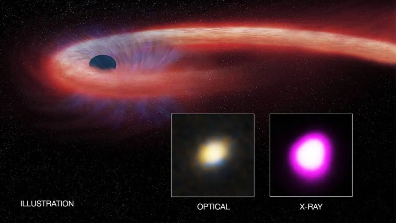 Explosión récord en el universo: agujero negro supermasivo engulló estrella gigante y generó brillo equivalente a 10 billones de soles, según estudio publicado.