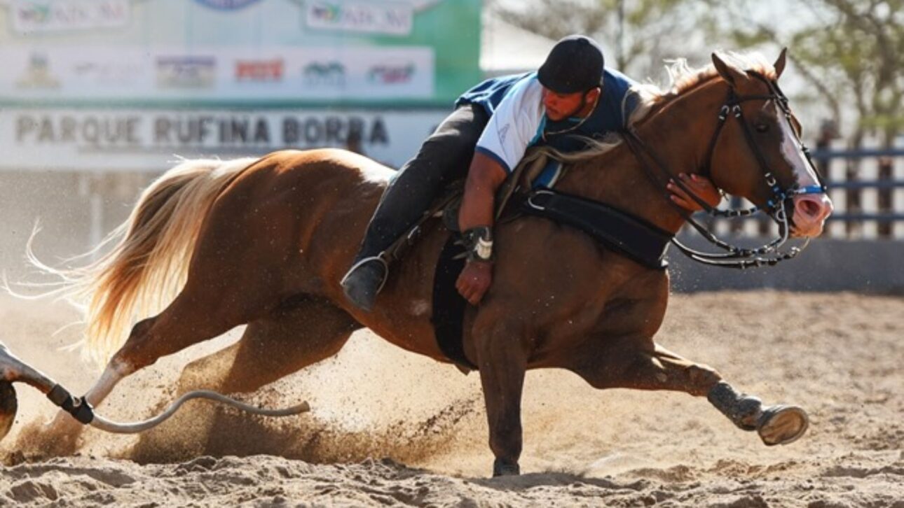 Rancho 263, de Henrique & Juliano, arremata NewPrince Diego HJG por R$ 5 milhões y asume papel de destaque en el mercado de genética de élite de la vaquejada.