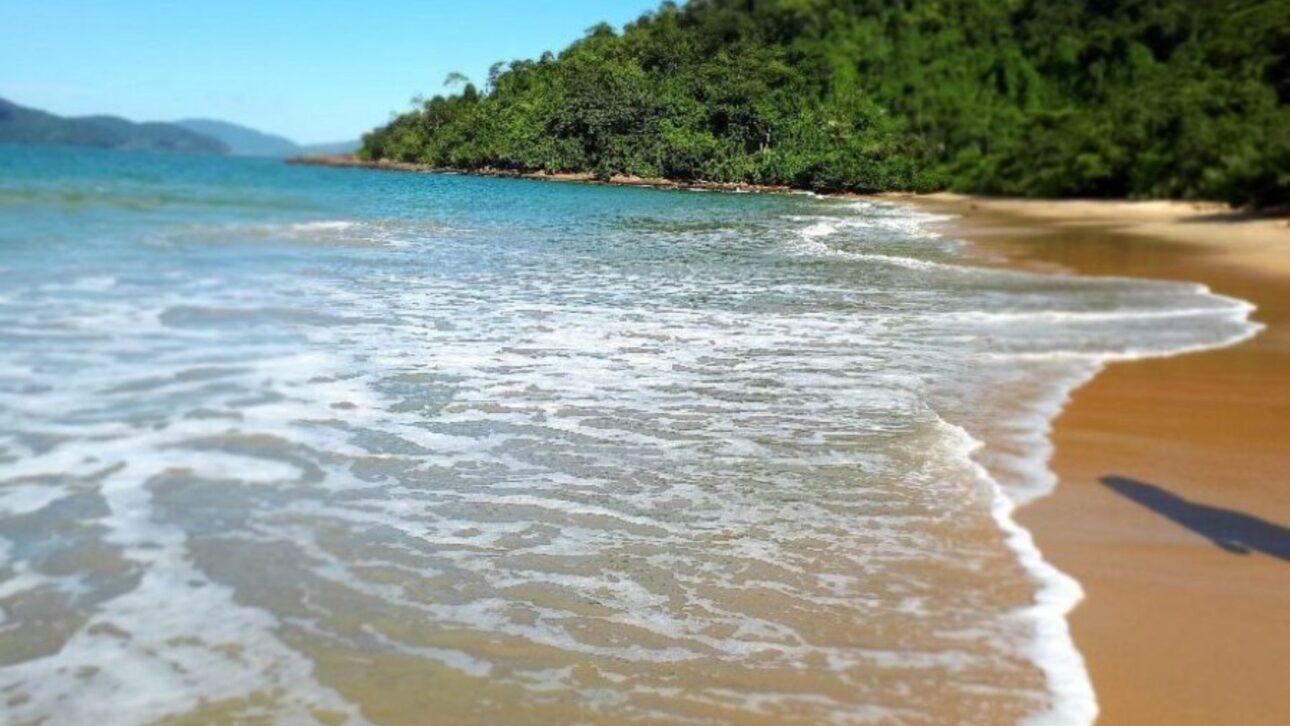 Villaje argentino con apenas 35 residentes y 28 km de playas preservadas: descubre el Balneario San Cayetano en la costa de la provincia de Buenos Aires.