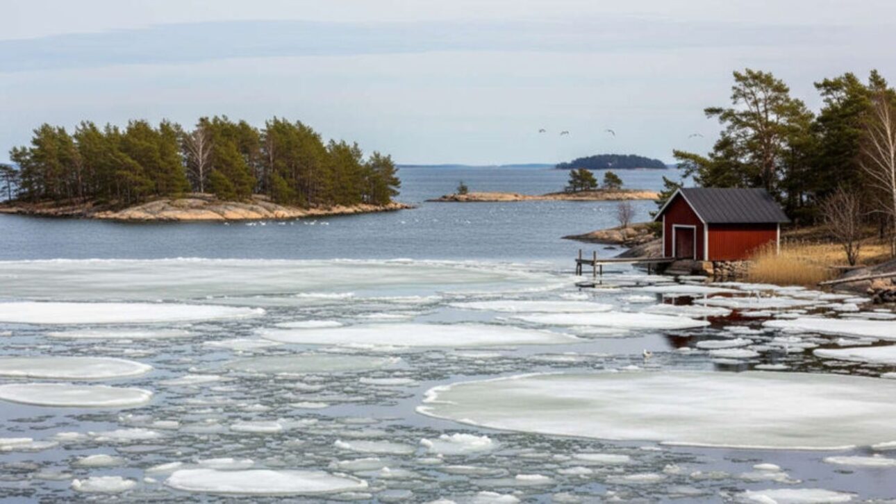 Descubre Por Qué La Isla De Groenlandia Es El Único País Sin Mosquitos Y Hormigas, Resultado De Clima Extremo, Suelo Volcánico Y Aislamiento Geográfico.