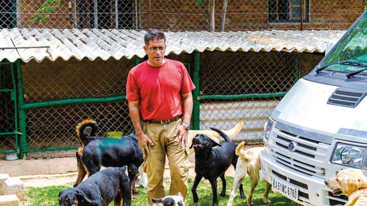 Empresario Indio Vende Todo, Deja La Carrera Corporativa Y Crea Un Santuario Que Abarca 1.700 Perros Rescatados Con Necesidades Especiales.