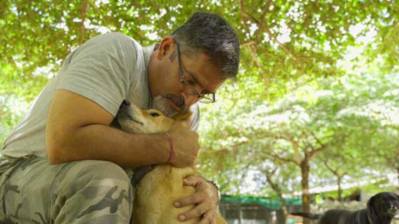 Empresario Indio Vende Todo, Deja La Carrera Corporativa Y Crea Un Santuario Que Abarca 1.700 Perros Rescatados Con Necesidades Especiales.