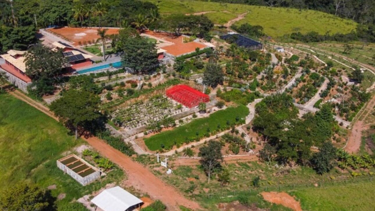 STJ confirma validez de testamento que dejó dos fincas de alrededor de R$ 1 mil millones solo para parte de la familia, excluyendo a otros parientes colaterales.