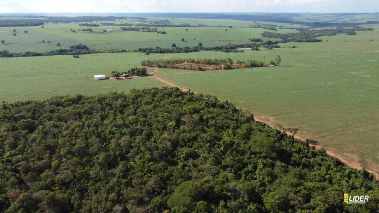 STJ confirma validez de testamento que dejó dos fincas de alrededor de R$ 1 mil millones solo para parte de la familia, excluyendo a otros parientes colaterales.