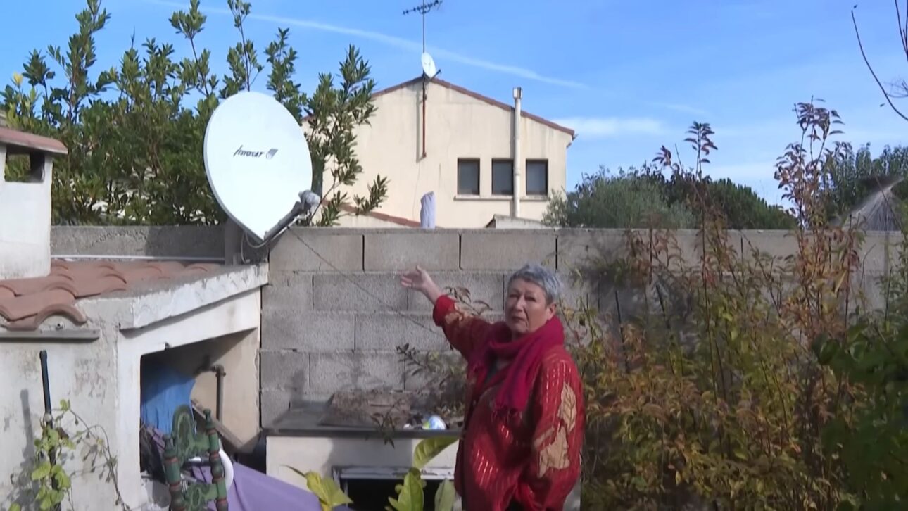 Un gato en Francia es prohibido por la Justicia de salir de casa tras invadir el jardín del vecino, generando multa, indemnización y un debate sobre derechos de animales.