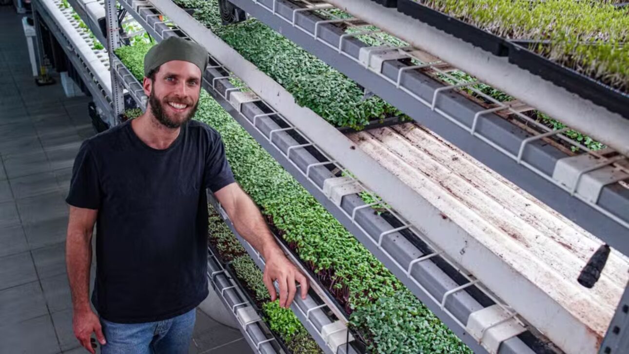 Producción urbana de folhosas en galpón con hidroponía y LED: ahorro del 95% de agua y 75× más productividad en São Paulo.