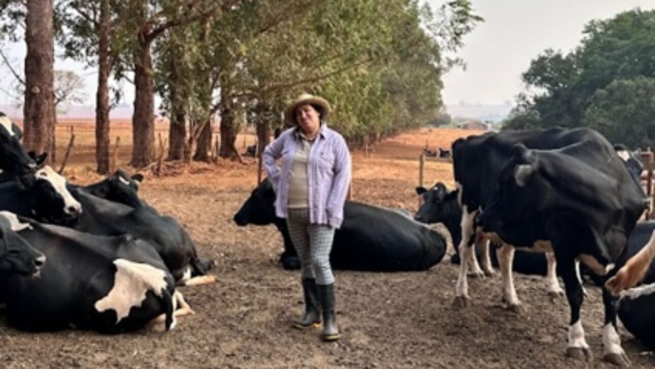 Productora de Goiás transforma hacienda tras sucesión familiar con ILPF, energía solar y bioinsumos, convirtiéndose en un destacado nacional en el agro.