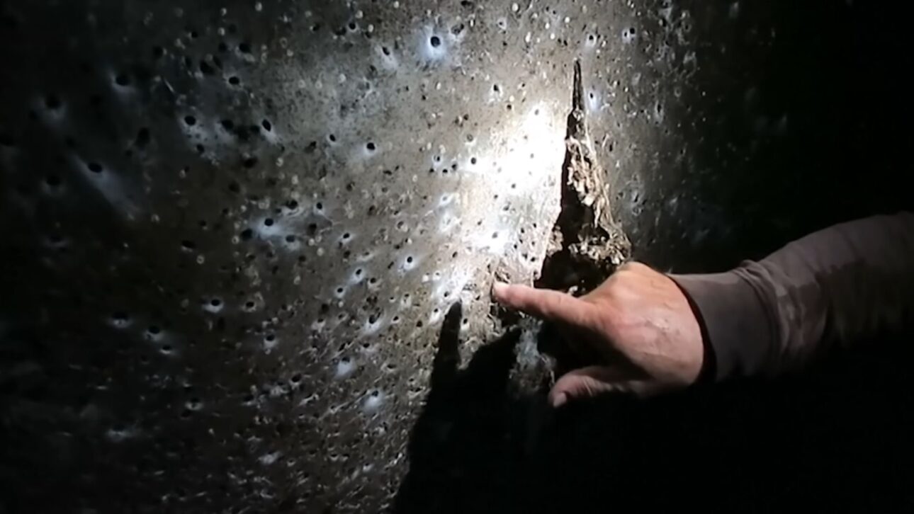 Telaraña gigante con 106 m² y 110 mil arañas es encontrada en cueva sulfurosa entre Grecia y Albania, revelando comportamiento colectivo raro.
