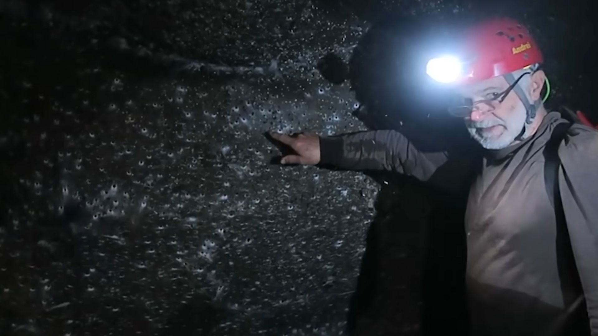 Teia gigante com 106 m² e 110 mil aranhas é encontrada em caverna sulfurosa entre Grécia e Albânia, revelando comportamento coletivo raro.