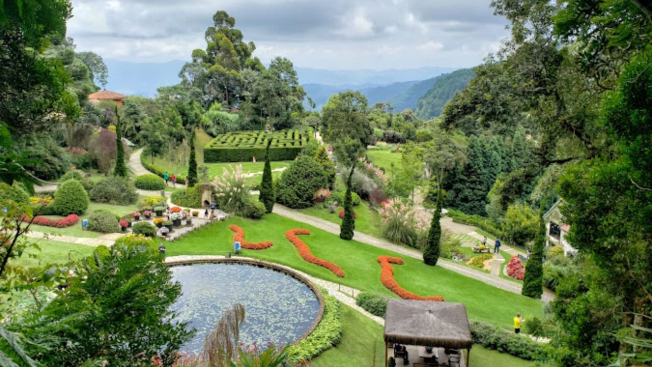 Destino en la Mantiqueira reúne viñedos, olivares, senderos y cultura en São Bento do Sapucaí, conocida como la “Toscana Brasileña”.
